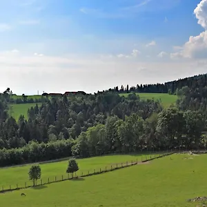 Apartment With Panoramic View And Every Convenience, Waldkirchen